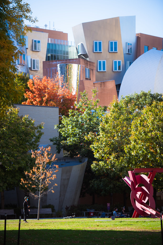 Stata Center